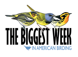 Biggest Week in American Birding logo