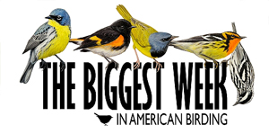 Biggest Week in American Birding logo