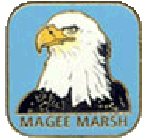 Bald eagle pin