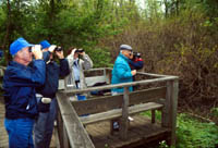 bird watching