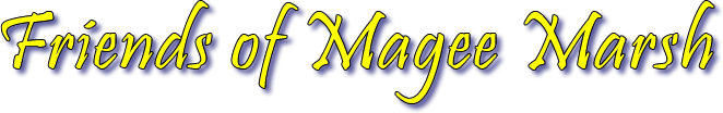 Friends of Magee Marsh