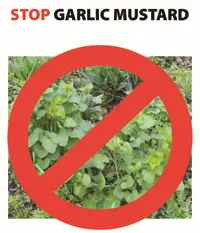 No more Garlic Mustard sign